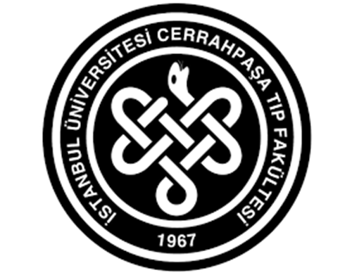 A diploma from Istanbul University, Cerrahpaşa Medical Faculty, certifies a students completion of medical education. The document includes university logos, signatures, and various identification numbers, with an ornate border design.