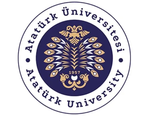 Medical Doctor Diploma