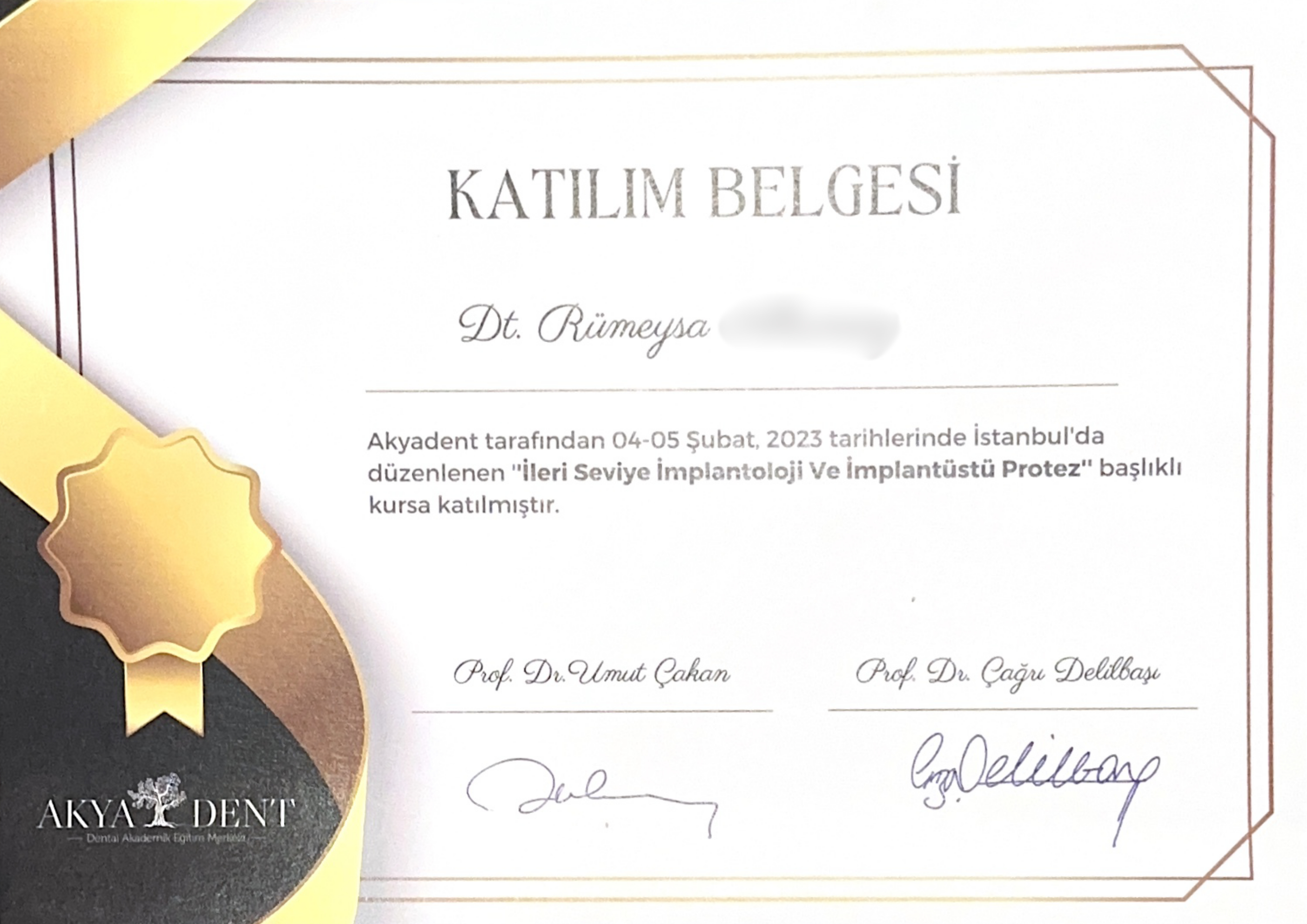 Certificate of Academic Participation in Dentistry