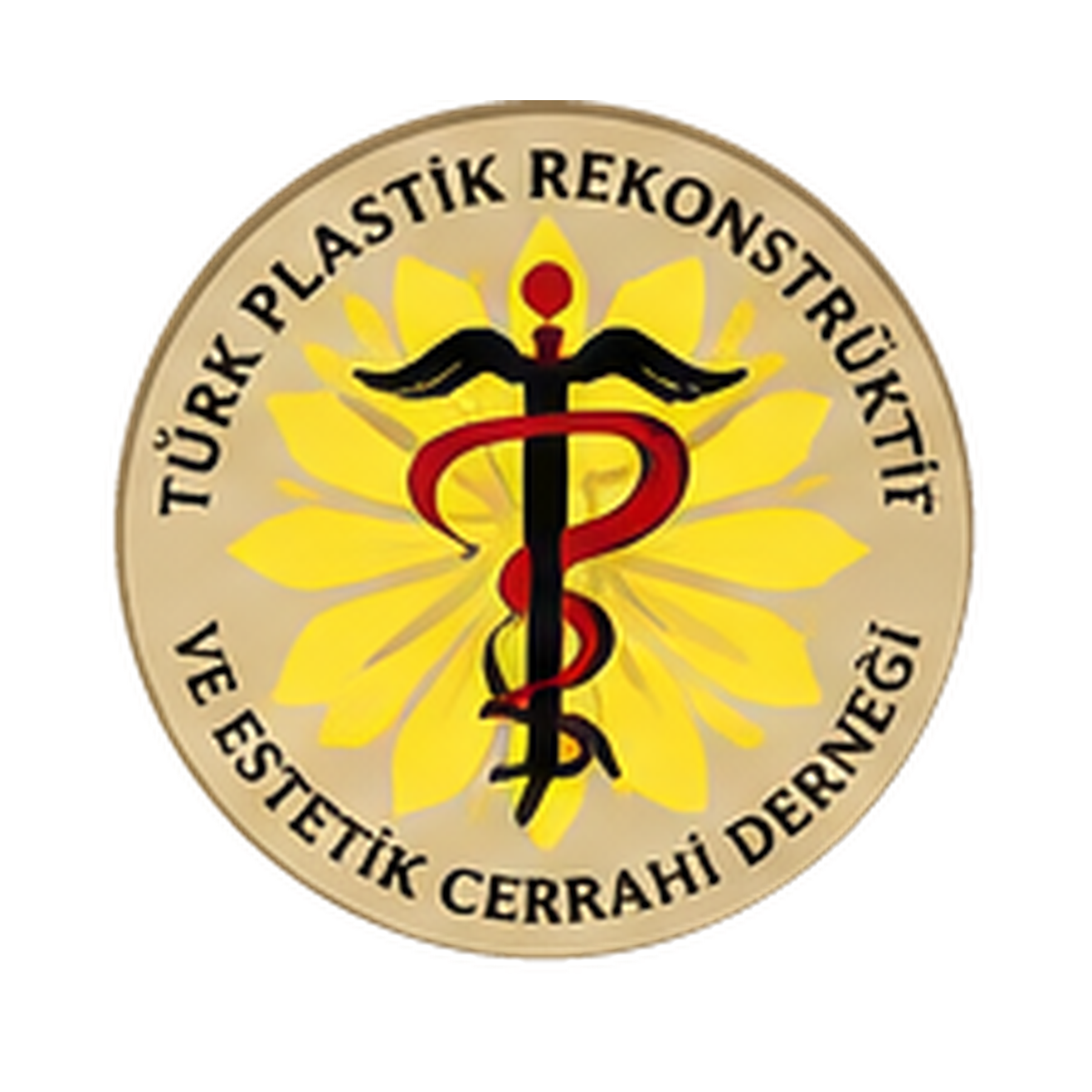 Non-Surgical Aesthetic Procedures Course – Mesotherapy, Dermaroller, PRP Applications and Skin Care Certificate